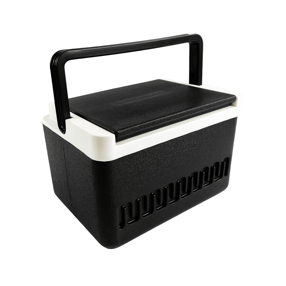 Large Cooler Box #DT037