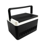 Large Cooler Box #DT037
