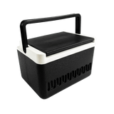 Large Cooler Box DT037