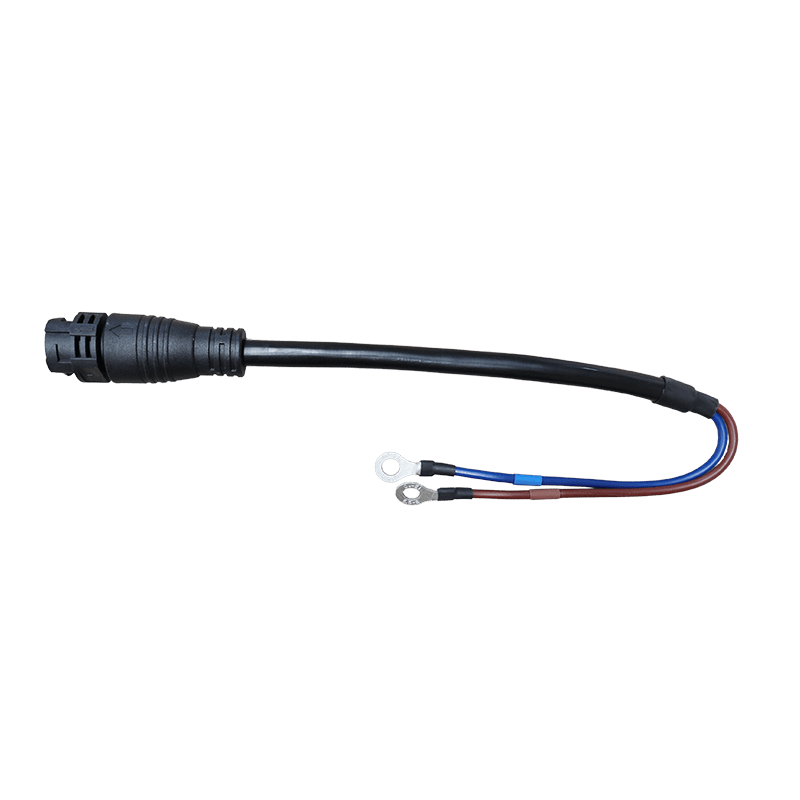RoyPow Adaptor Harness_S51105BE110